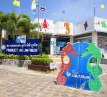 Oceanarium u Phuketu: fotografija, adresa, recenzije, kako doći