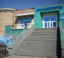 Vladivostok Oceanarium: fotografija, sati rada, adresa