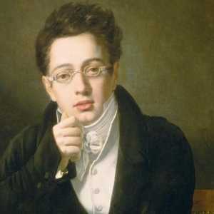 Franz Schubert: biografija klasika glazbene umjetnosti
