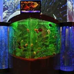 Oceanarium u Krasnodaru - uspješno utjelovljenje nevjerojatne ljepote podvodnog svijeta