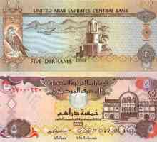 1 Dirham: stopa na dolar i rublje. Monetarna jedinica Ujedinjenih Arapskih Emirata