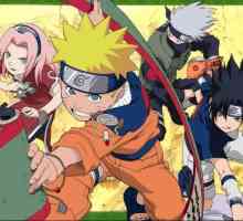 15 Godina na tržištu anime industrije: koliko cijele serije u `Naruto`?