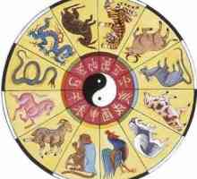 1956, Kakva je životinja na horoskopu? Njegove osobine i kompatibilnost