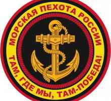336 Brigada pomorskog korpusa baltičke flote