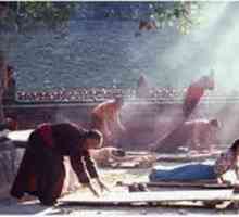 5 Tibetanskih vježbi. Praksa "Pet tibetanskih bisera"