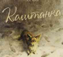 A. Chekhov, "Kashtanka": recenzije o priči