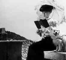 A. P. Čehov, "Dama s psom": analiza. "Gospa s psom" - priča o ljubavi