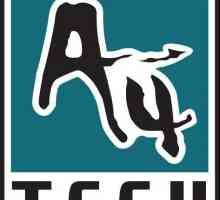 A4Tech - мышь для настоящих геймеров. Обзор мыши A4Tech