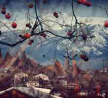 Abhazija zimi: fotografija, recenzije. Što treba vidjeti u Abhaziji zimi?