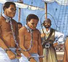 Abolitionizam je ... Definicija, povijest i zanimljive činjenice