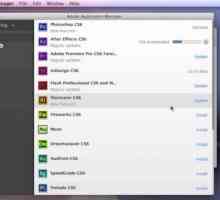 Adobe Application Manager: što je ovaj program i mogu li se riješiti?