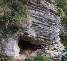 Ахштырская пещера: как добраться? Фото и отзывы туристов