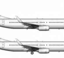 Aeroflot, Boeing 737-800: izgled kabine, najbolja mjesta