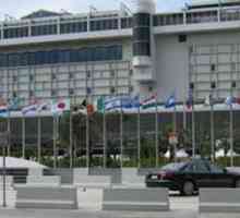 Zračna luka Miami - vodeći terminal jugoistočne Floride (SAD): povijest, infrastruktura, transfer