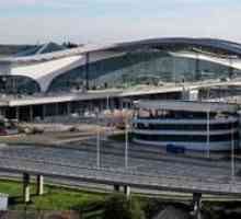 Zračna luka Sheremetyevo: međunarodna adresa, terminali i fotografije