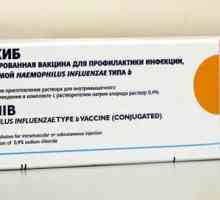 "ACT-HIB" (cjepivo): upute za uporabu. Cjepivo protiv infekcije Hib