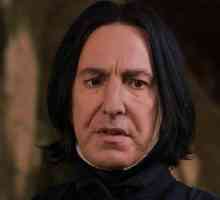 Glumac Severus Snegg lik je u seriji knjige JK Rowling o Harryju Potteru. Opis i zanimljive…