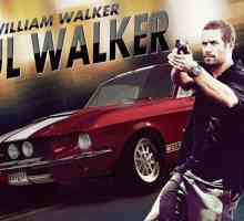 Glumci filma `Brzi i žestoki` 7 ili Kako napraviti film bez Paul Walkera