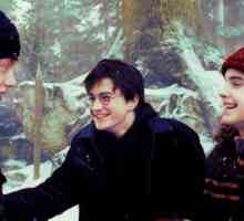 Glumci Harry Potter i vrč vatre: svi su se prisjetili lica