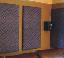 Akustična ploča: prednosti, značajke primjene i instalacije