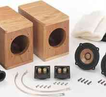 Akustični sustav s vlastitim rukama. Kako napraviti akustički sustav s vlastitim rukama?