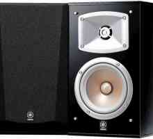 Yamaha NS-333 akustični sustav: specifikacije, fotografije i recenzije