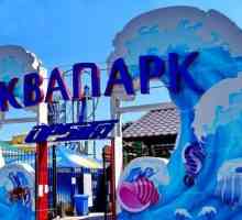 Aquapark in Koblevo: odmor i mišljenja turista