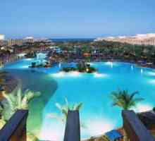 `Albatross Palace Resort 5 *`, Hurghada: Opis, opis i mišljenja
