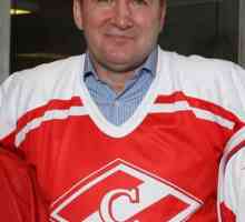 Alexander Viktorovich Kozhevnikov, igrač hokeja: biografija, sportska postignuća