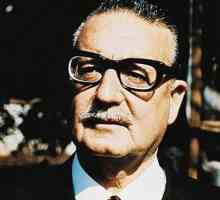 Allende Salvador: biografija, fotografije, citati. Tko je odbacio Salvador Allende?