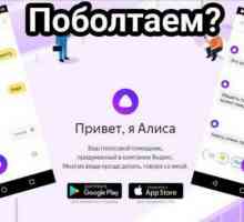 `Alice` (` Yandex`): recenzije, opis, uporaba