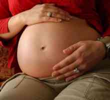 Alkohol tijekom trudnoće: posljedice za razvoj fetusa