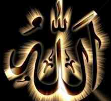 Allah je znak. Islam: čuda i znakovi Allaha