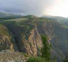Altai rezervat je vrhunac Altajskog područja