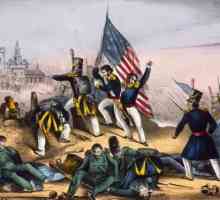Američko-meksički rat 1846-1848. Početak neprijateljstava, zapovjednici, sporne teritorije