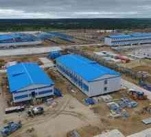 Amur plinsko postrojenje za preradu (Amur plina za preradu biljaka) najveći je građevinski projekt…
