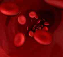 Krvni test za biokemiju: dekodiranje rezultata