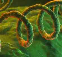 Analiza sifilisa i njegovih mogućih varijanti