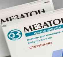 Analogues `Mezaton `u Rusiji: popis, opis i upute za uporabu