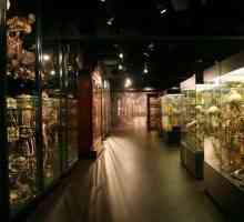 Anatomski muzej. Šokantne izložbe anatomskog muzeja širom svijeta