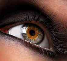Angiopatija retine oba oka - što je to i kako se liječiti?