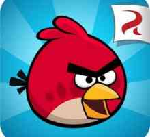 Angry Birds: Prolaz i pravila