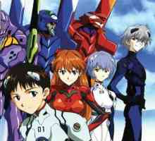 Anime `Evangelion`, ili `Shinji Ikari spasava svijet`: zemljište i glavni likovi