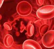 Što je anizocitoza? Anisocitoza u općem testu krvi
