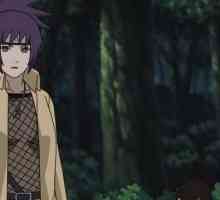 Anko Mitarashi je lik iz `Naruto`
