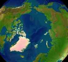 Antarktička i arktinska pustinja: tlo, svojstva i svojstva tla