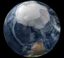 Антарктида: климат и животный мир