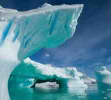 Antarktika je zemlja leda. Što još niste znali o Antarktici