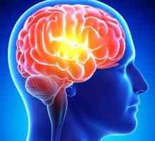 Encefalitis protiv receptora: simptomi i liječenje