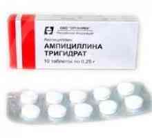 Antibakterijski znači ampicilin trihidrat: upute za uporabu